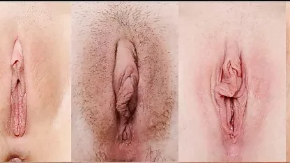 Banca film porno o gratis