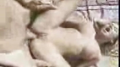 Mathea voglio vedere video hard